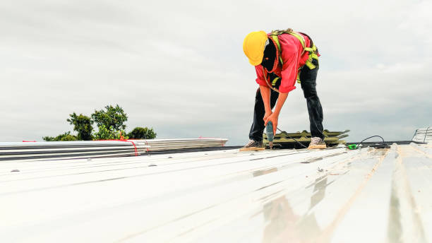 Best Roof Maintenance and Cleaning  in Ephrata, PA